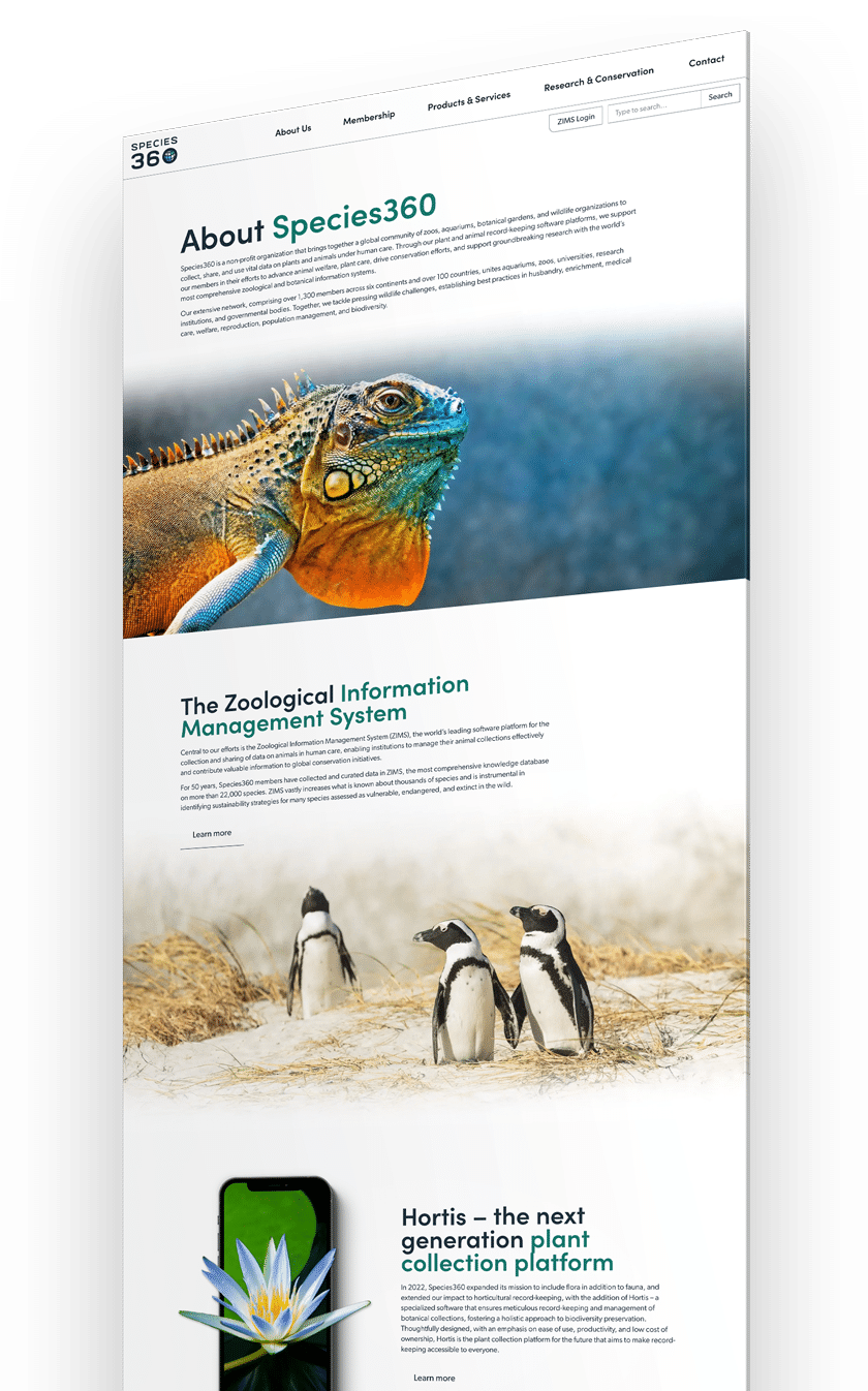 Species360 website About page featuring wildlife images and informational sections on zoological data systems, showcasing bold design for conservation organizations.